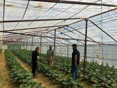 Y&uuml;ksekova Tarım ve Orman M&uuml;d&uuml;rl&uuml;ğ&uuml; ekiplerinden &ccedil;ift&ccedil;ilere saha desteği
