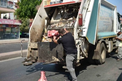 Yumurta paketinden hamam böceği yumurtaları çıktı, yapılan denetimden çıkanlar şoke etti
