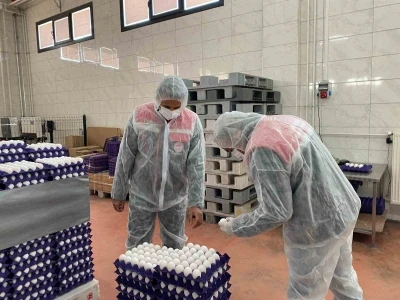 Yumurta paketlemesi yapan işletmelere y&ouml;nelik denetim
