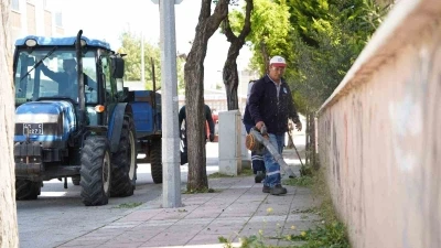 Yunusemre&rsquo;de yaz mesaisi başladı
