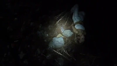 Yürüyüş esnasında uçurumdan düşen Ukraynalı 2 turist kurtarıldı
