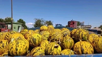 Yüz yıllık aynı tat, aynı lezzet satışa başladı
