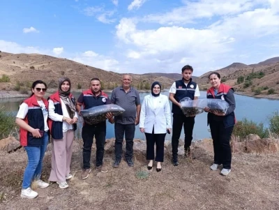 Yüzbinlerce balık suyla buluştu
