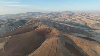 Yüzlerce ağacın kesilmesine vatandaşlardan tepki: &quot;40 yılda büyüdü, 4 gün de yok edildi&quot;

