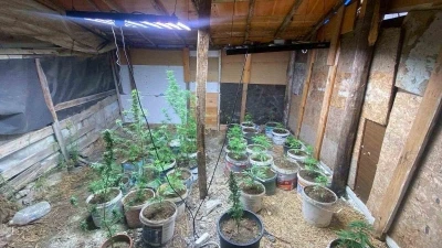 Zahir tacirlerinin kurduğu sistemi jandarma bozdu
