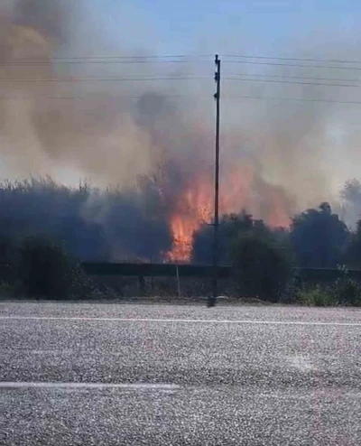 Zamanında müdahale yangının bahçelere sıçramasını önledi
