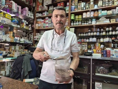 Zayıflamak isteyenlerin yeni g&ouml;zdesi &rsquo;karnıyarık otu tohumu&rsquo; oldu
