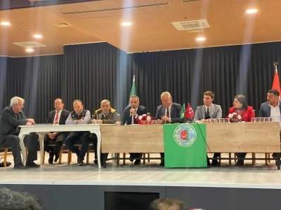 Zeytin &uuml;reticileri i&ccedil;in destek ve markalaşma &ouml;nerisi
