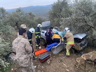 Zeytinliğe u&ccedil;an otomobilin s&uuml;r&uuml;c&uuml;s&uuml; yaralandı
