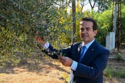 Zeytinyağı kalite yarışması i&ccedil;in son g&uuml;n 15 Ocak
