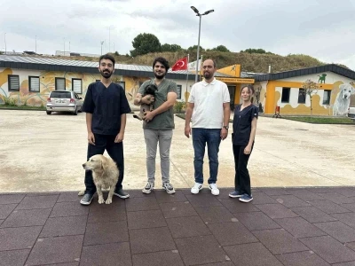 Zifte bulanan yavru köpek rehabilitasyon merkezinde yaşama tutundu
