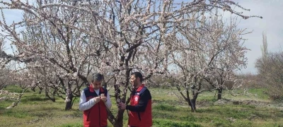 Zirai don uyarısı sonrası hasar tespit &ccedil;alışması yapıldı
