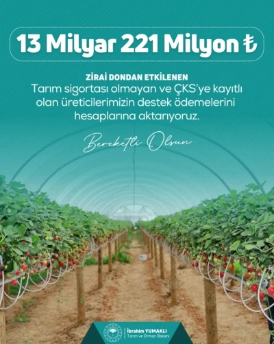 Zirai dondan etkilenen çiftçilere 13 milyar 221 milyon lira destek ödemesi yapılacak
