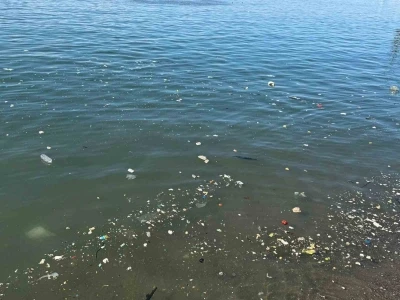 Zonguldak sahilinde &ccedil;&ouml;p tepkisi
