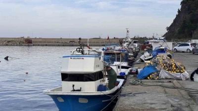 Zonguldak&rsquo;ta hamsi yoğunluğu yaşandı, palamut &ccedil;ıkmadı

