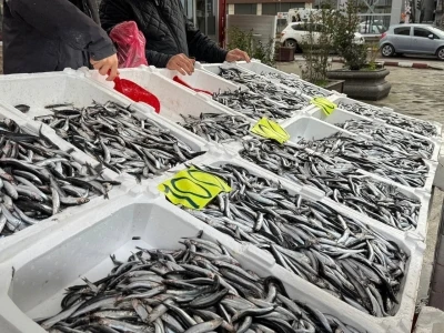 Zonguldak&rsquo;ta Sevgililer G&uuml;n&uuml;&rsquo;ne &ouml;zel hamsi kampanyası: Kilosunu 100 liradan sattılar
