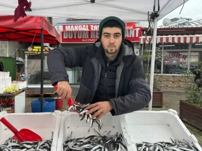 Zonguldak&rsquo;ta tezgahta hamsinin yerini istavrit ve mezgit alacak
