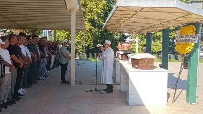 Zonguldak&rsquo;ta yaşlı &ccedil;iftin hayatını kaybettiği kazada tır şof&ouml;r&uuml;ne adli kontrol
