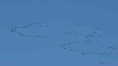 Zorlu göçün durağı Erçek Gölü
