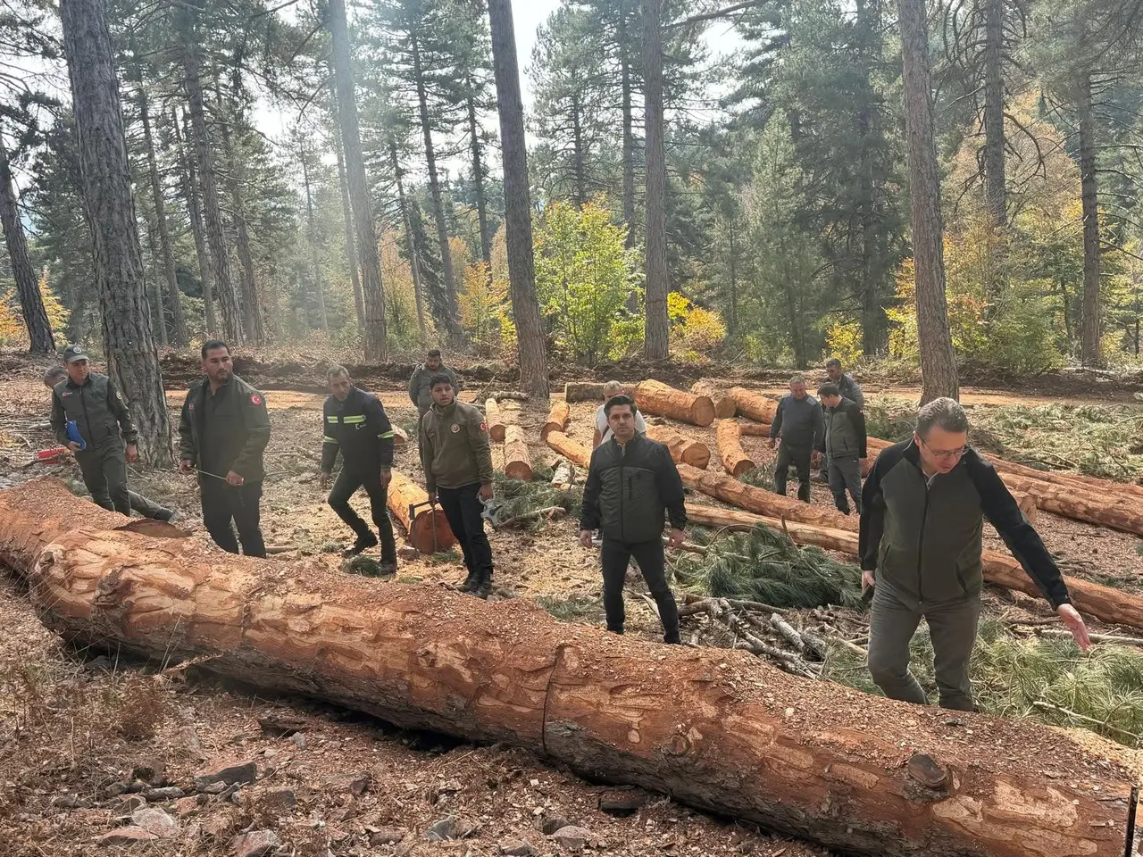 Cabaroğlu, İslahiye’deki 10 hektarlık karaçam alanında değerlendirme yaptı
