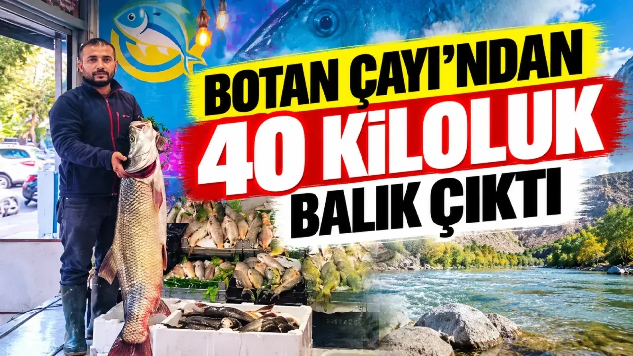 Batman’da Botan Çayı’ndan Yakalanan Dev Balık İlgi Odağı Oldu