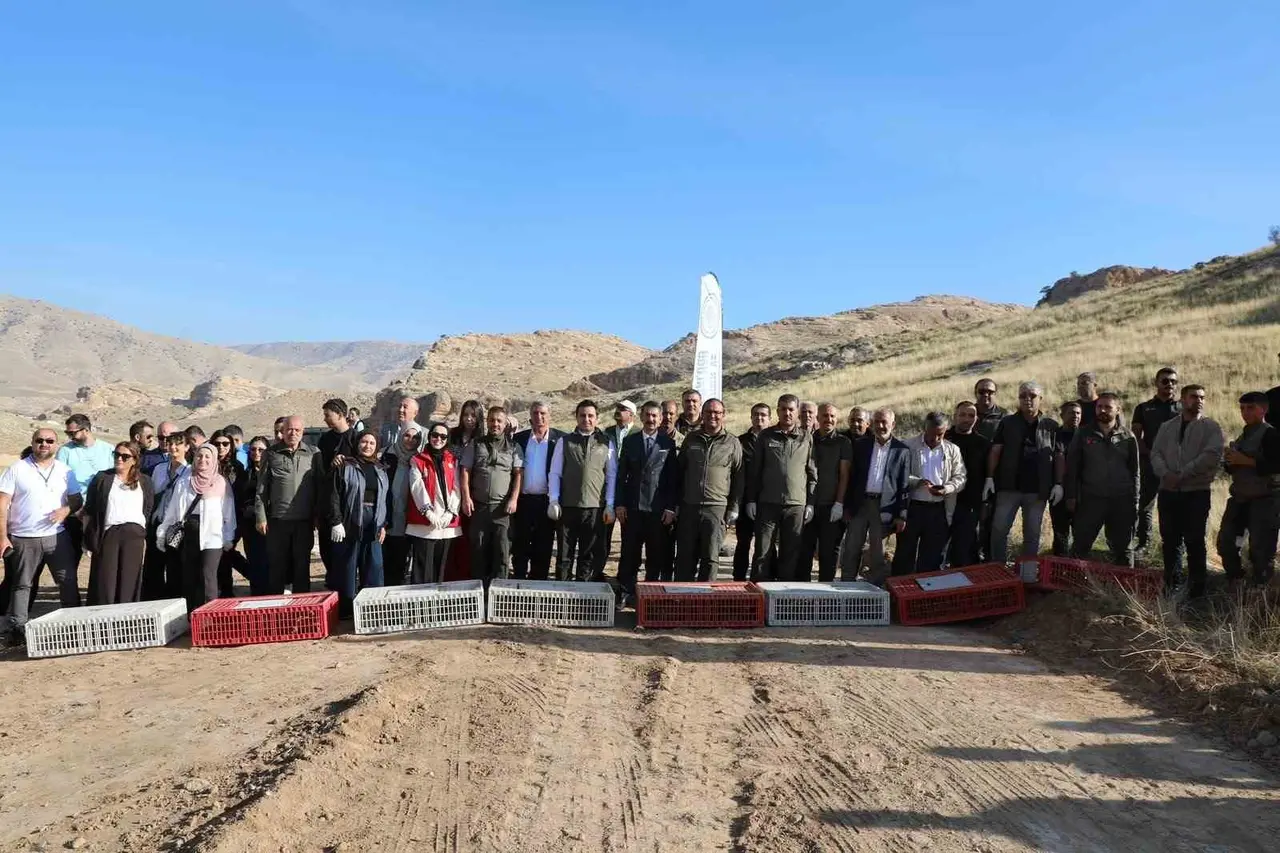 Hasankeyf kırsalında ceylanlar ve kınalı keklikler için doğaya dönüş
