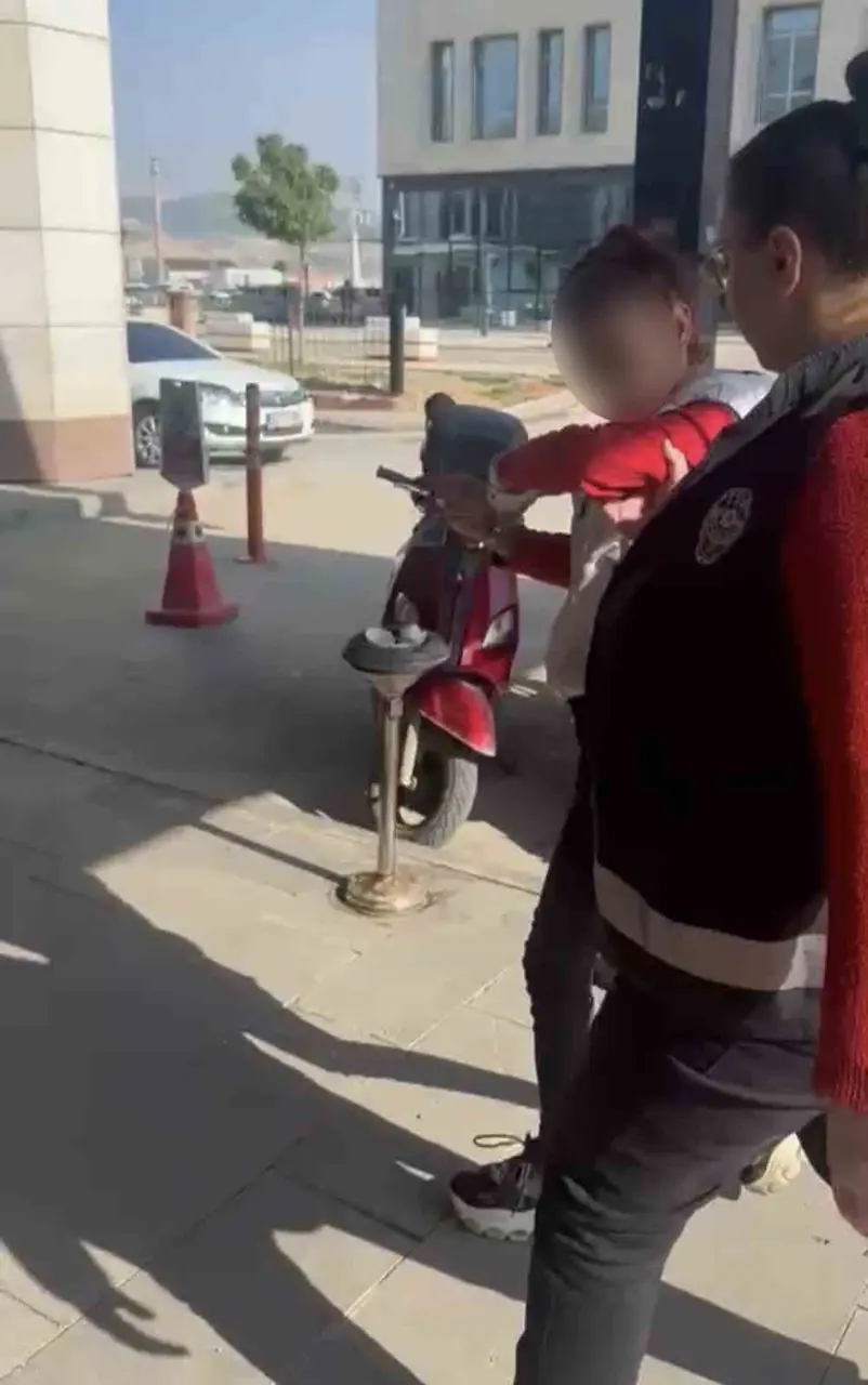 Adıyaman’da kediye taş atan kadın adliyeye gönderildi