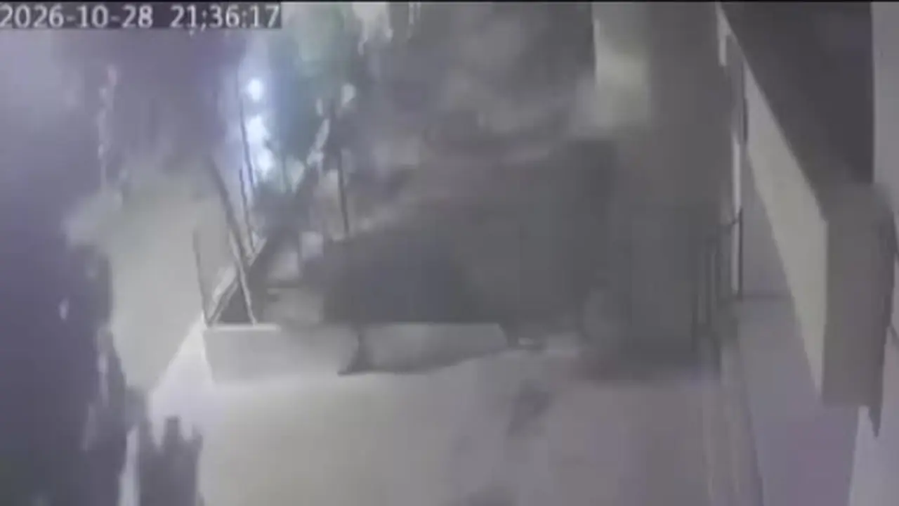 Mardin’de devrilen ağaçtan 10 saniyeyle kurtuldu: O anlar kamerada
