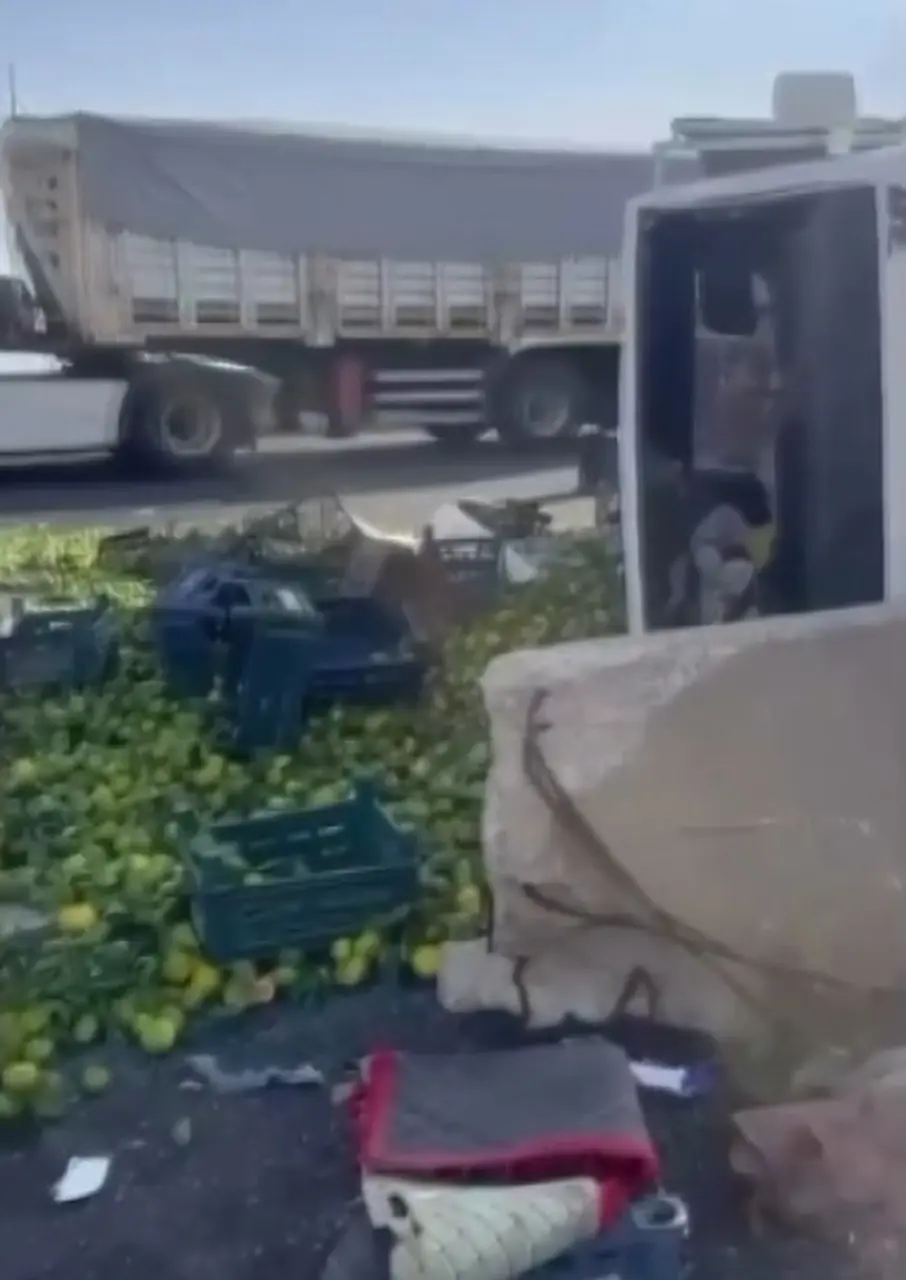Nurdağı’nda mandalina taşıyan kamyon devrildi, yol meyvelerle kaplandı