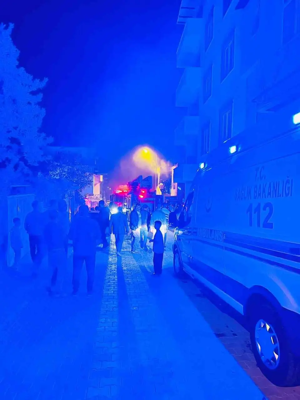 İtfaiye ekiplerinin müstakil evdeki yangına müdahalesi