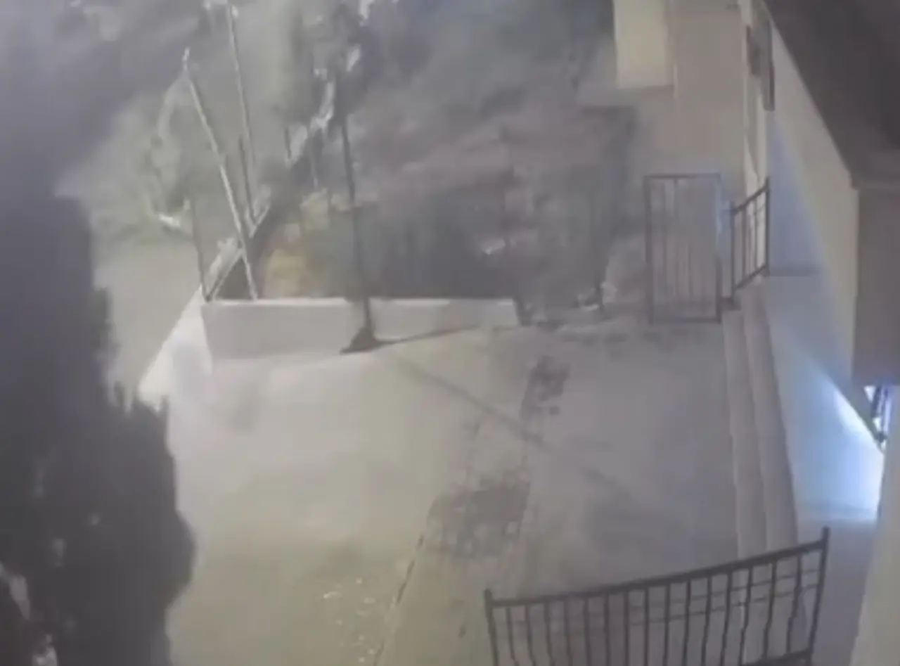 Mardin’de devrilen ağaçtan 10 saniyeyle kurtuldu: O anlar kamerada