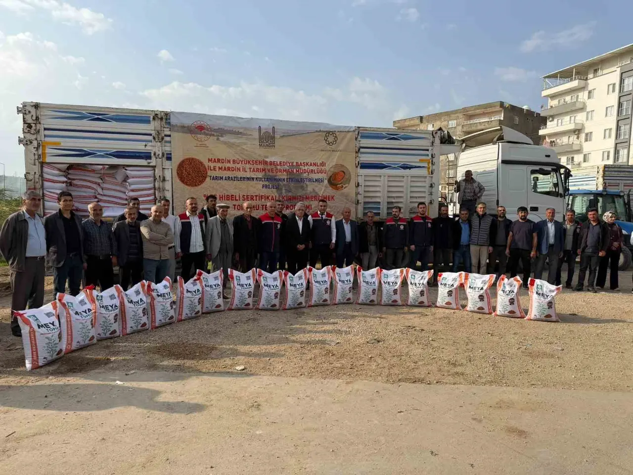 Mazıdağı’nda çiftçilere mercimek tohumu dağıtımı