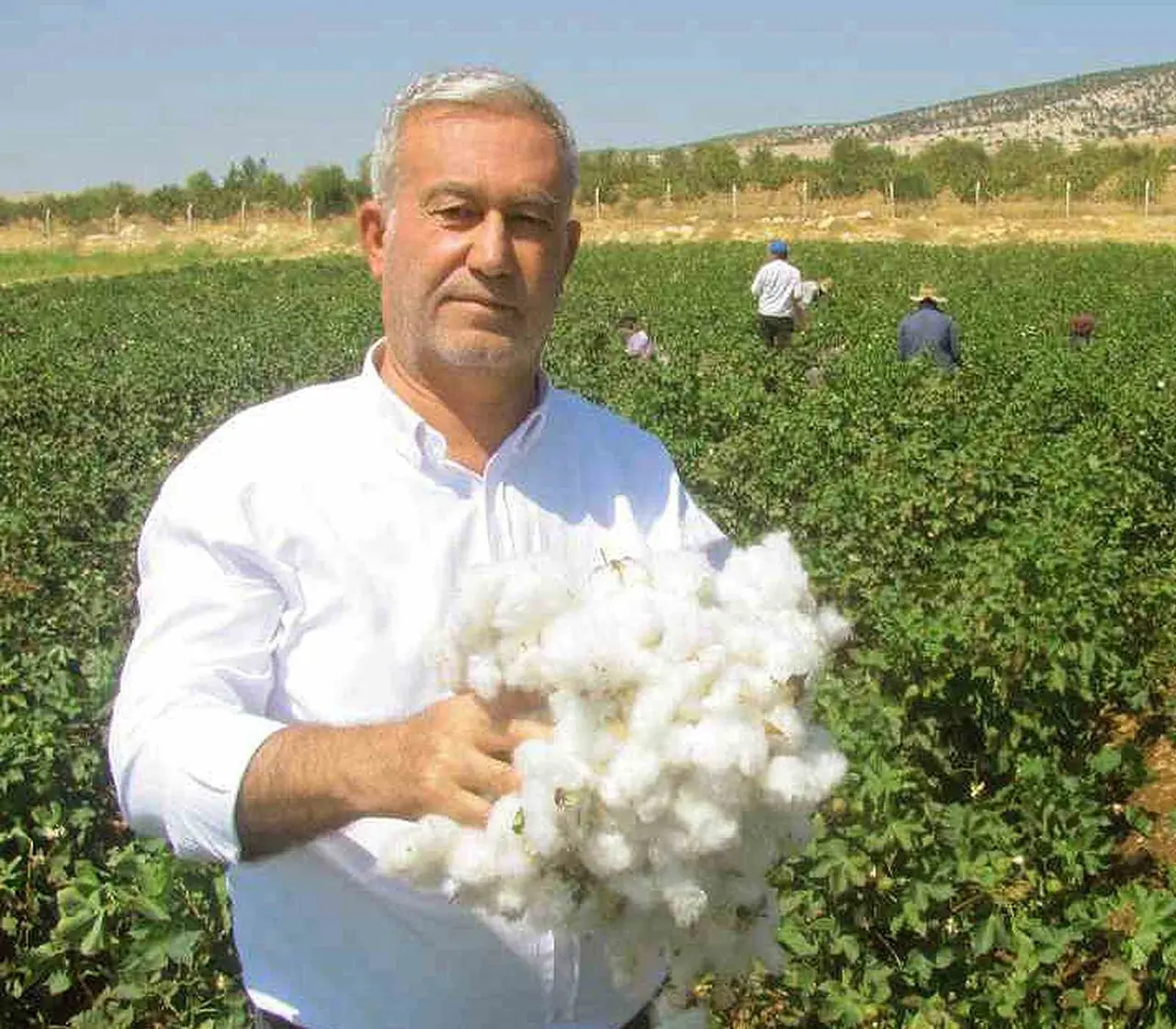 Araban’da yeni sezon kütlü pamuk alım bedelleri belirlendi