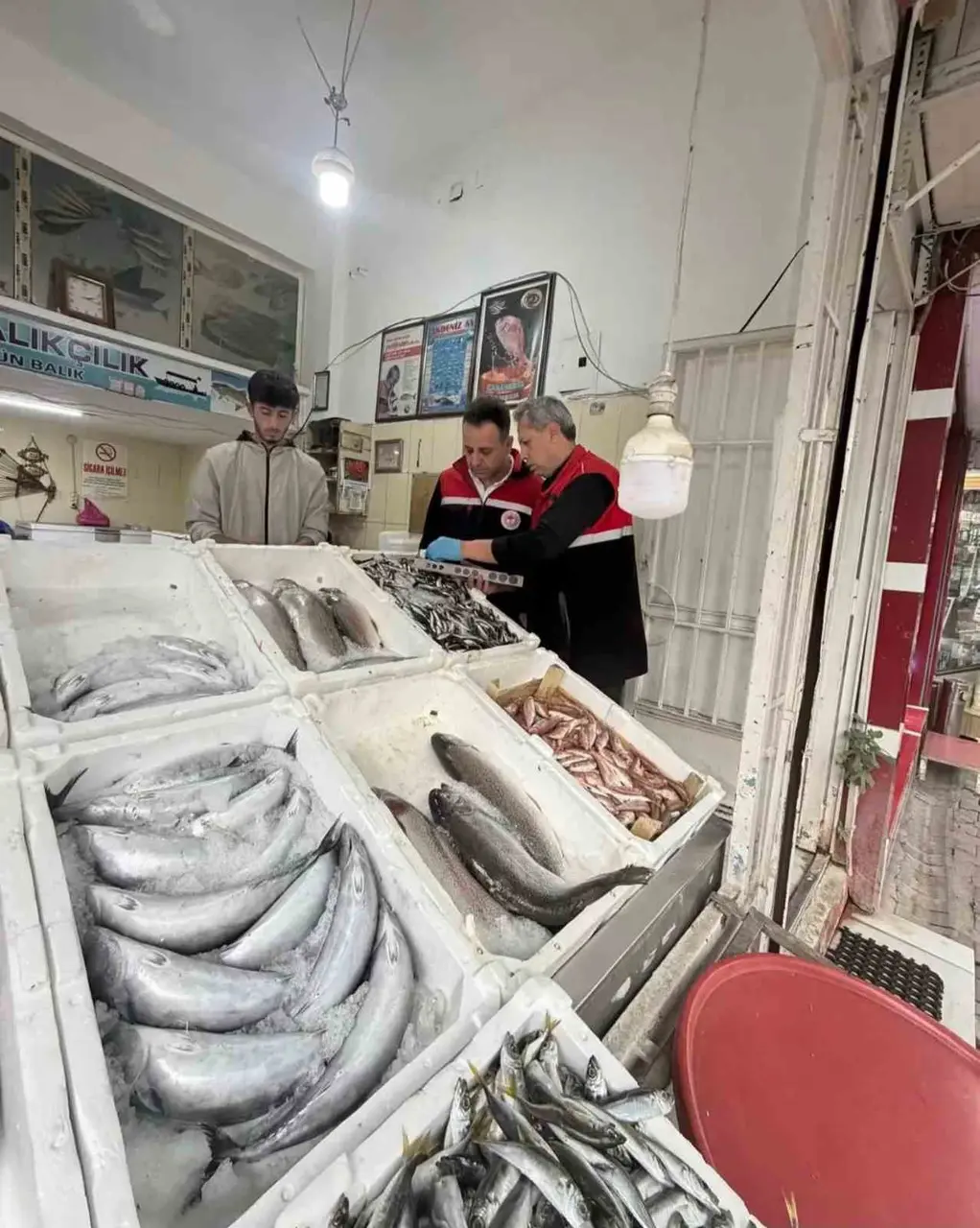 Adıyaman’daki su ürünleri satış noktalarında mevzuat kontrolü