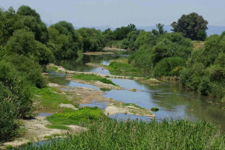 Batı Anadolu’nun en büyük nehri suya hasret kaldı
