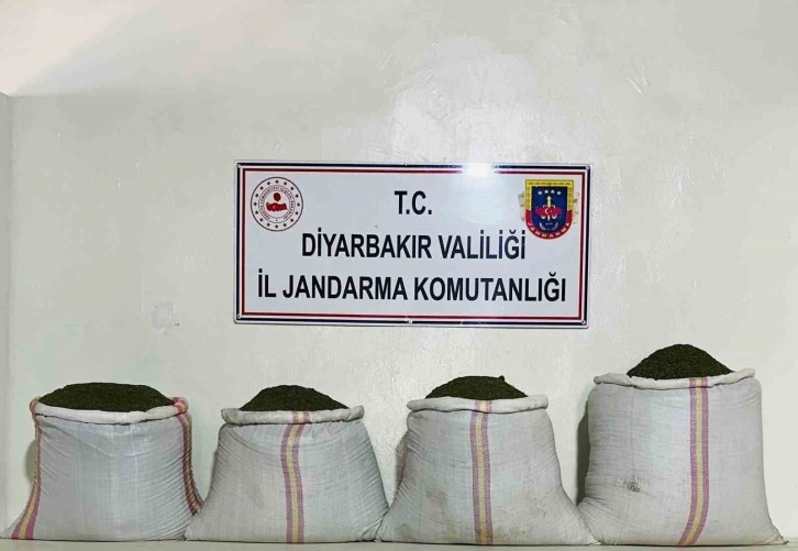 Diyarbakır’da 34 bin 500 kök kenevir ve 112 kilo esrar ele geçirildi
