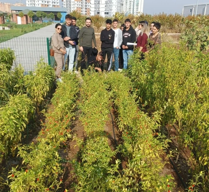 Diyarbakır’da lise öğrencileri sebze ve meyve ağaçları yetiştirme hakkında bilgi aldı
