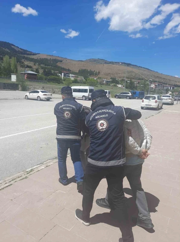 Erzincan’da kaçak göçmen taşıyan 2 kişi tutuklandı

