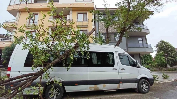 Fırtına ağaçları devirdi, 2 araç ağaçların altında kaldı
