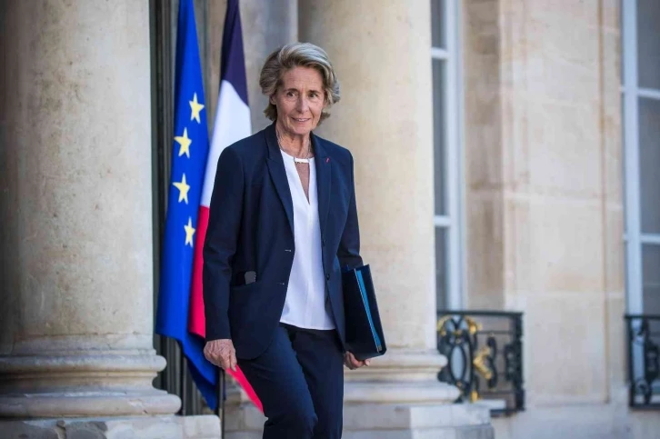 Fransa Bölgesel Uyum Bakanı Cayeux, istifa etti
