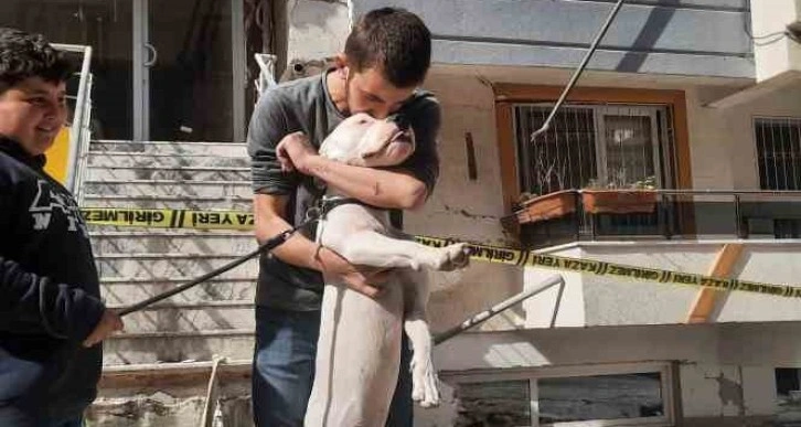 Kahraman köpek 'Dora', deprem anında kendisini siper ederek sahiplerini korudu