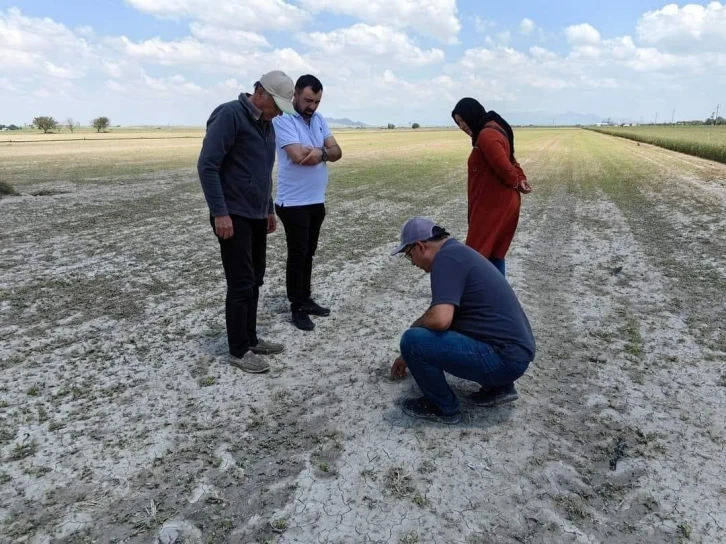 Karapınar’da tarım arazilerinde hasar tespit çalışmaları sürüyor
