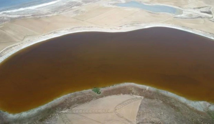 Konya'da her yıl pembeye bürünen Küçük göl, kahverengi oldu