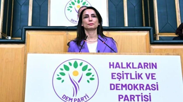 PKK'ya operasyonlardan rahatsız olan DEM Parti'den yalan ve hadsiz çağrı