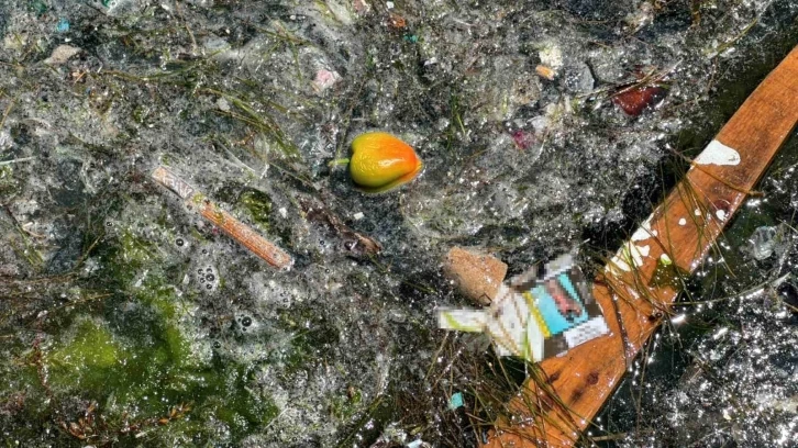 Sarıyer’de deniz kirliliği vatandaşları isyan ettirdi: “Kıyıya vuran çöpler Sarıyer’in en büyük sorunlarından bir tanesi”
