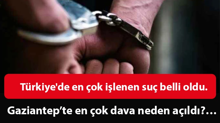 Türkiye'de en çok işlenen suç belli oldu. Gaziantep’te en çok dava neden açıldı?…