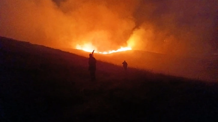 Varto’da anız yangını
