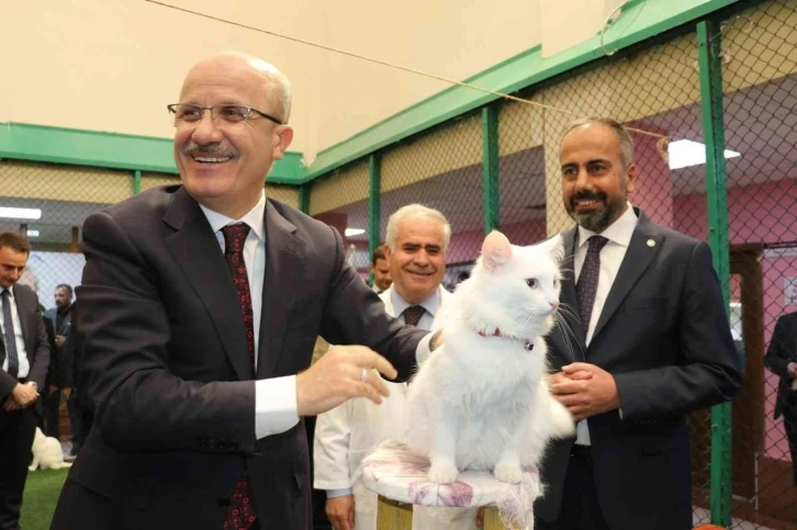 YÖK Başkanı Prof. Dr. Özvar Van kedilerini sevdi
