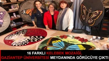 16 Farklı Kelebek Mozaiği, Gaziantep Üniversitesi Meydanında Görücüye Çıktı