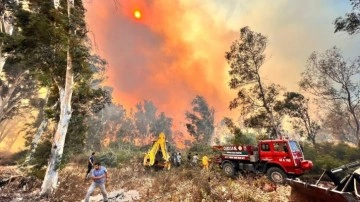 3 aatlik yangının bilançosu ağır oldu! 15 hektar alan zarar gördü